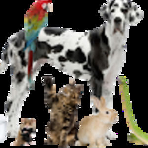 Meet your Posher, Alexandria